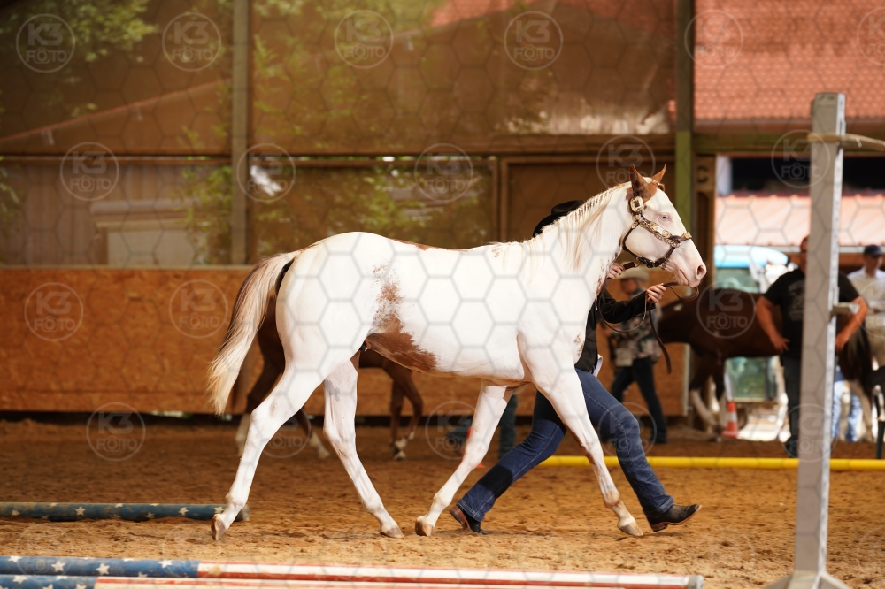 s_A9_07844.jpg